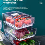 Kitchen Refrigerator Storage Box Drawer Crisper